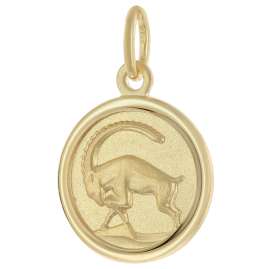 trendor 28468-01 Kinder Sternzeichen Steinbock Gold 333 mit vergoldeter Kette