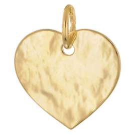 trendor 28492 Herz-Anhänger mit Namen Gold 333 (8 Karat) Gravurplatte Ø 14 mm