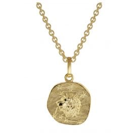 trendor 75905-08 Sternzeichen für Kinder Löwe Gold 333 Anhänger + Halskette