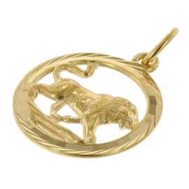 trendor 75940-08 Sternzeichen Löwe Gold 333 Anhänger Ø 16 mm + Halskette
