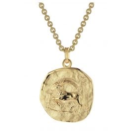 trendor 39070-01 Steinbock Sternzeichen Ø 20 mm Herrenkette Gold auf Silber