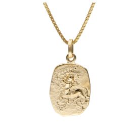 trendor 15382-12 Schütze Sternzeichen Gold 333 mit vergoldeter Silberkette